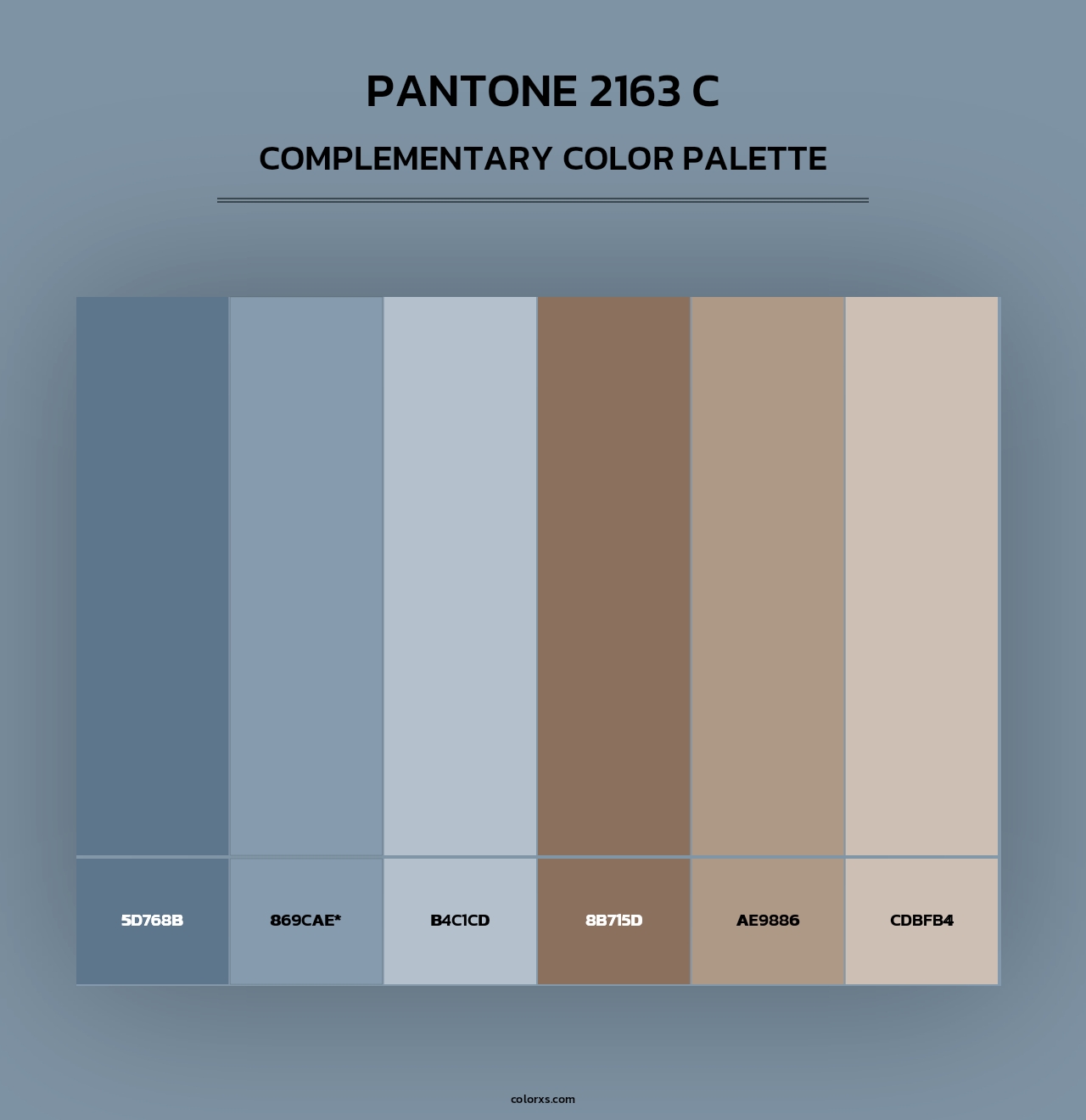 PANTONE 2163 C - Complementary Color Palette