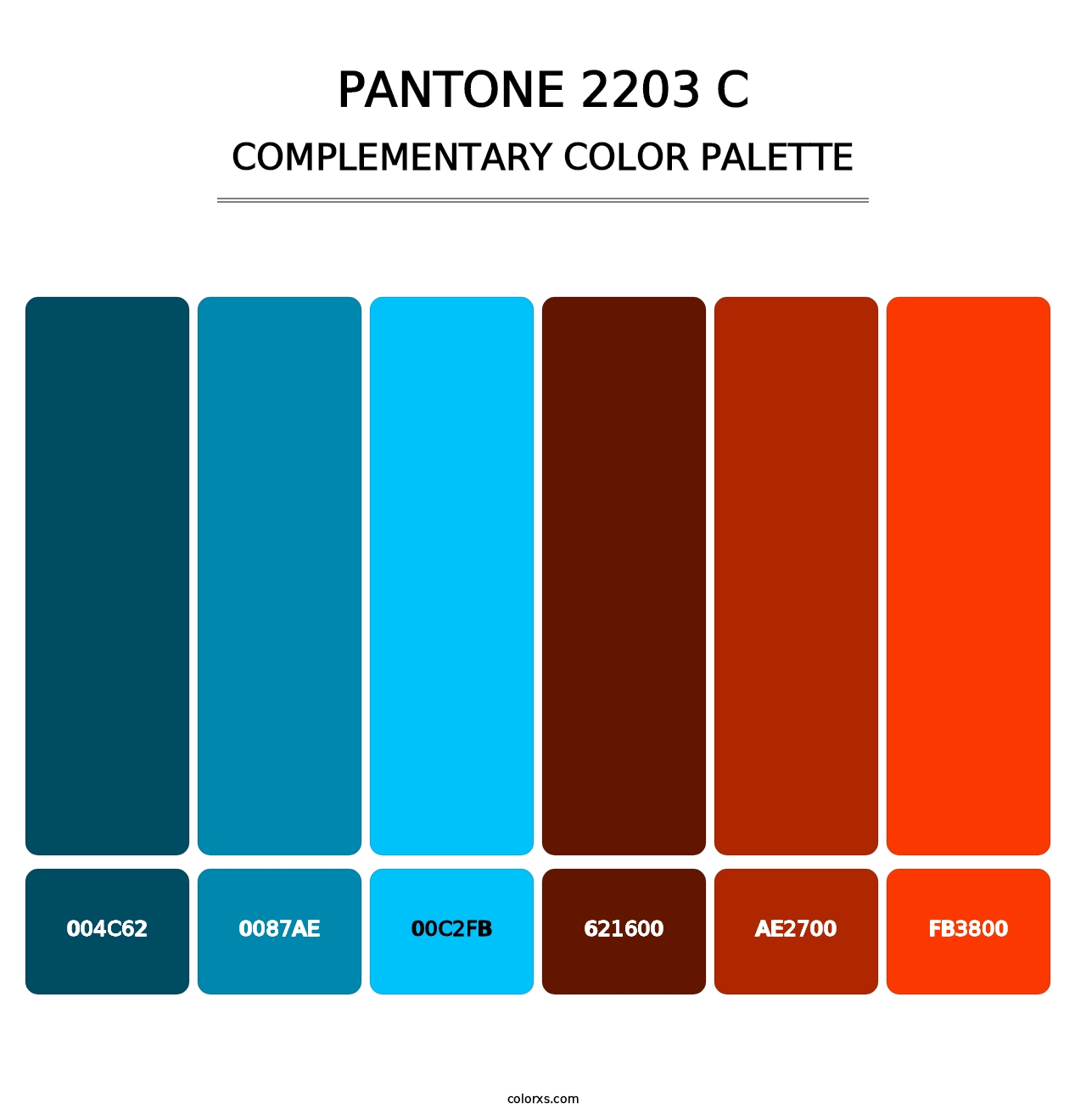 PANTONE 2203 C - Complementary Color Palette