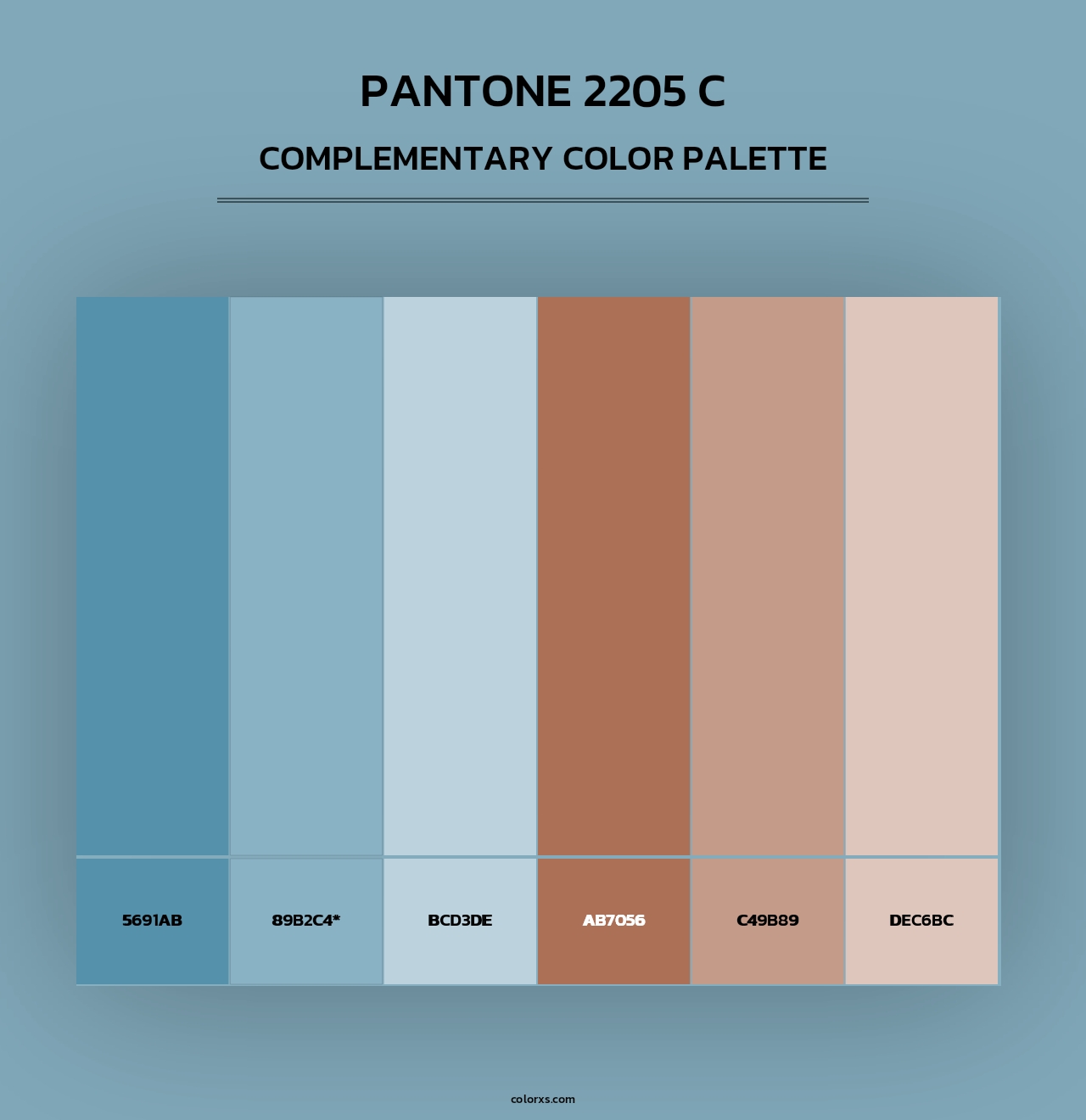 PANTONE 2205 C - Complementary Color Palette