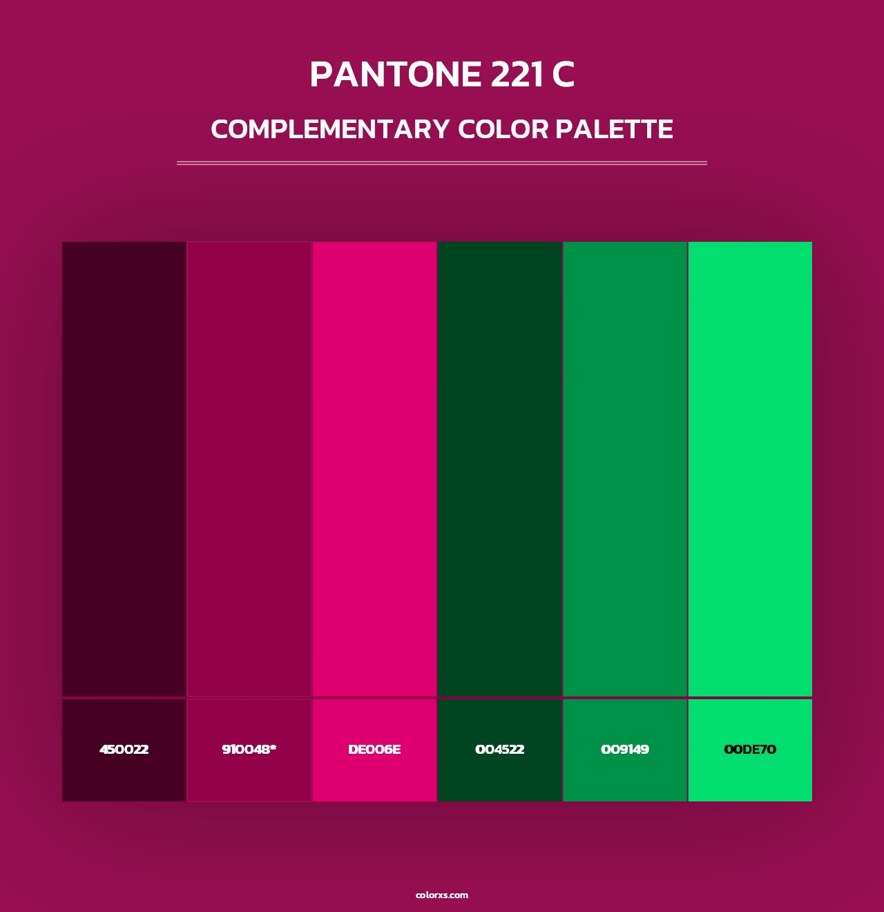 PANTONE 221 C - Complementary Color Palette