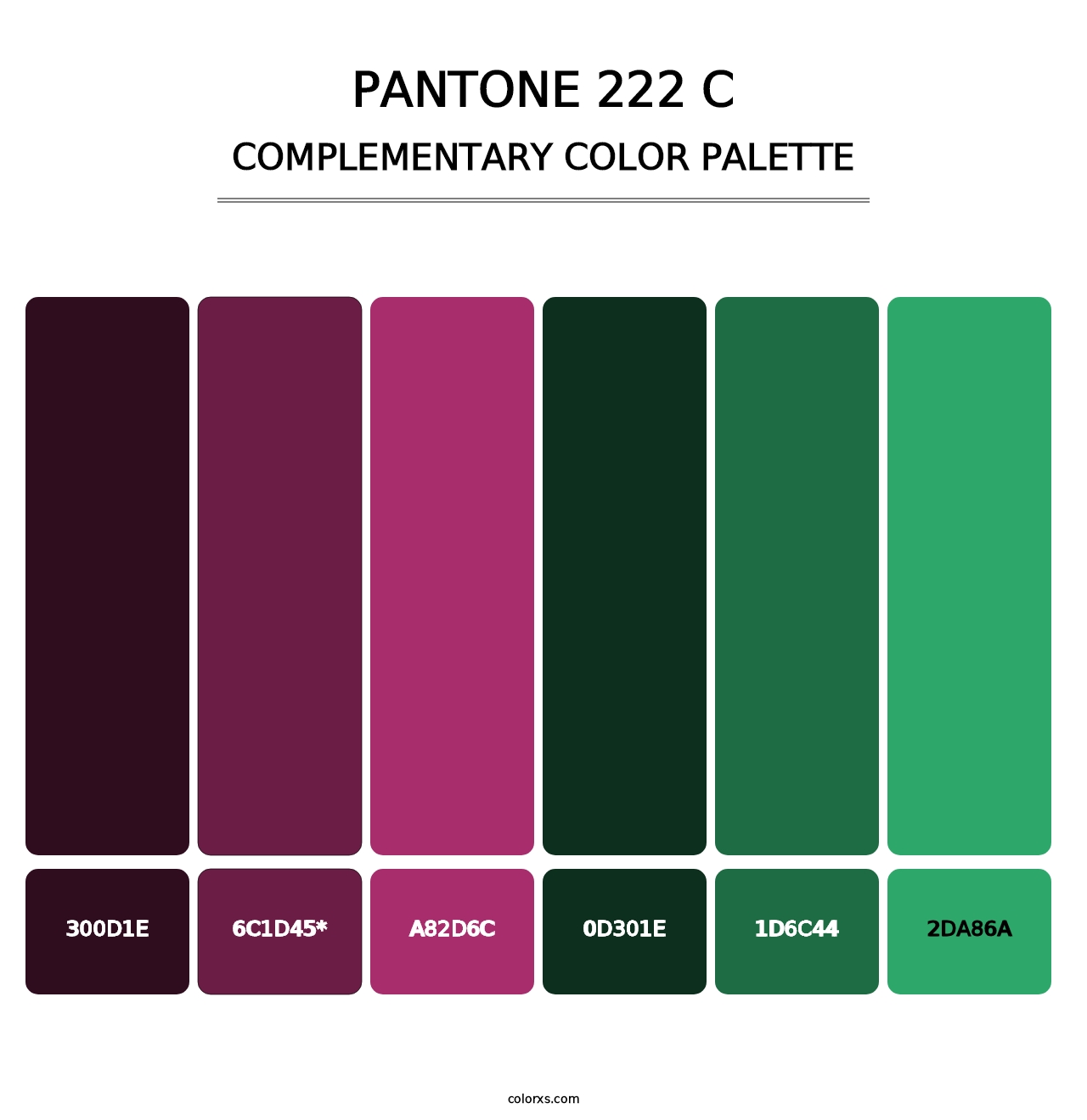 PANTONE 222 C - Complementary Color Palette