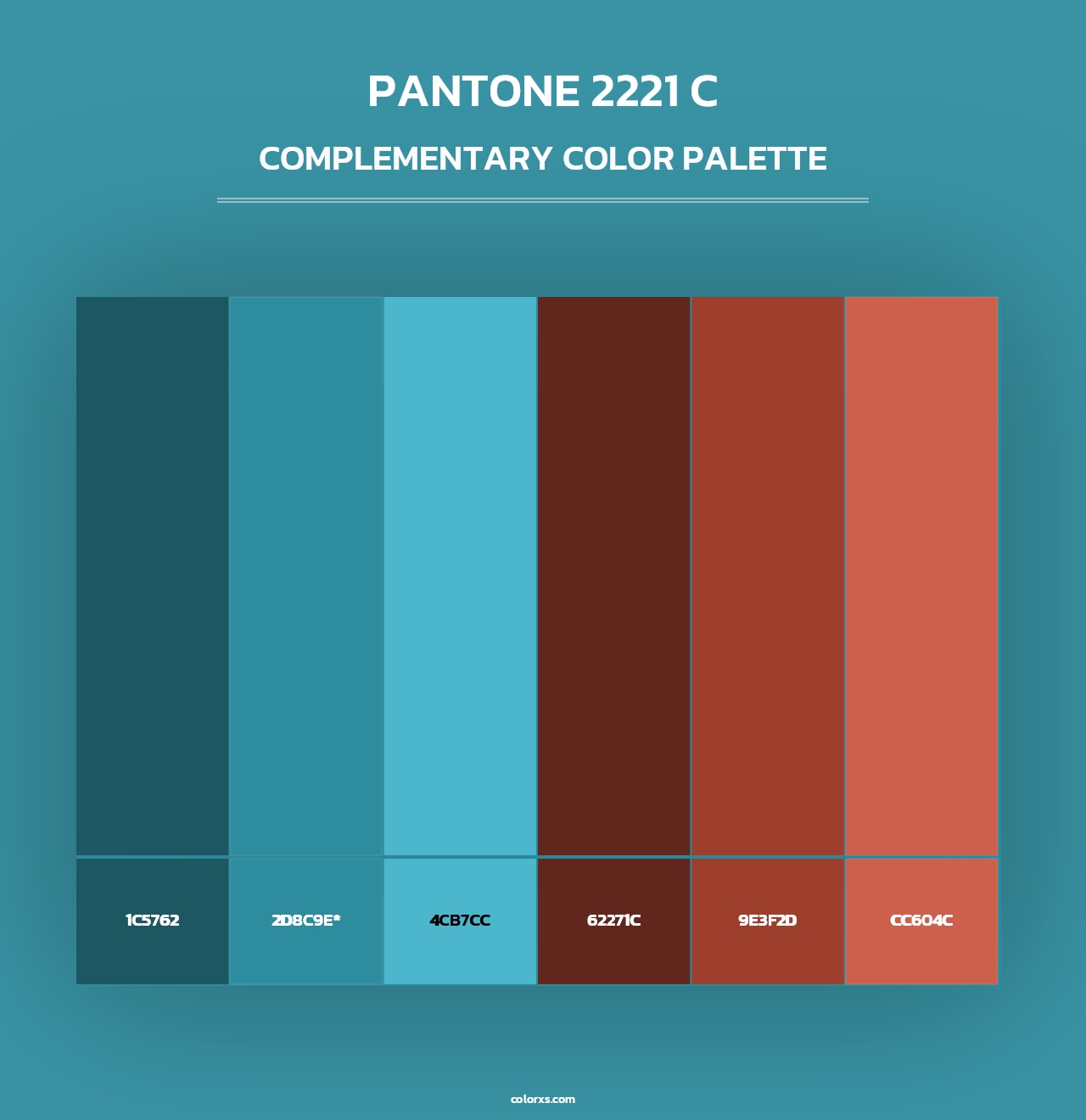 PANTONE 2221 C - Complementary Color Palette