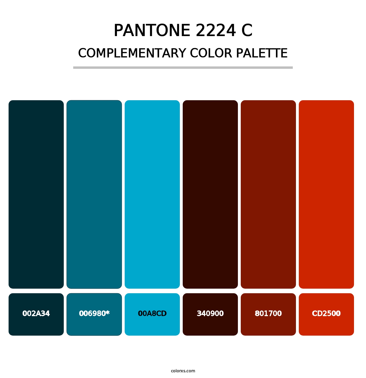 PANTONE 2224 C - Complementary Color Palette