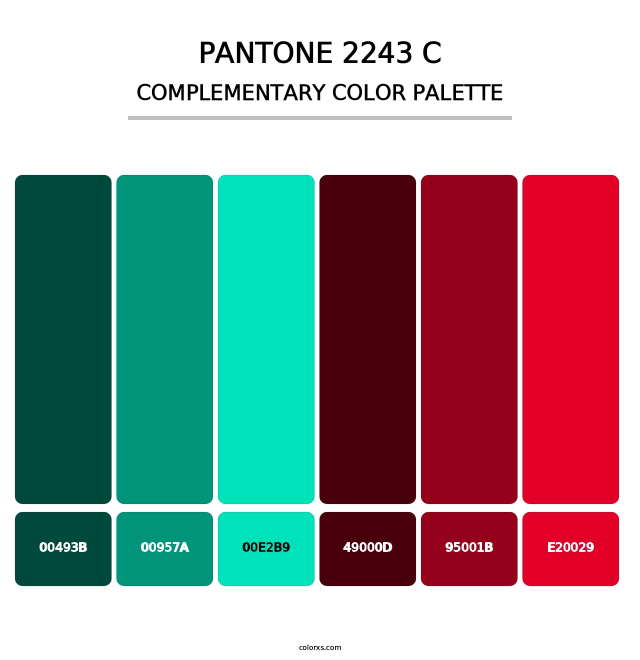PANTONE 2243 C - Complementary Color Palette