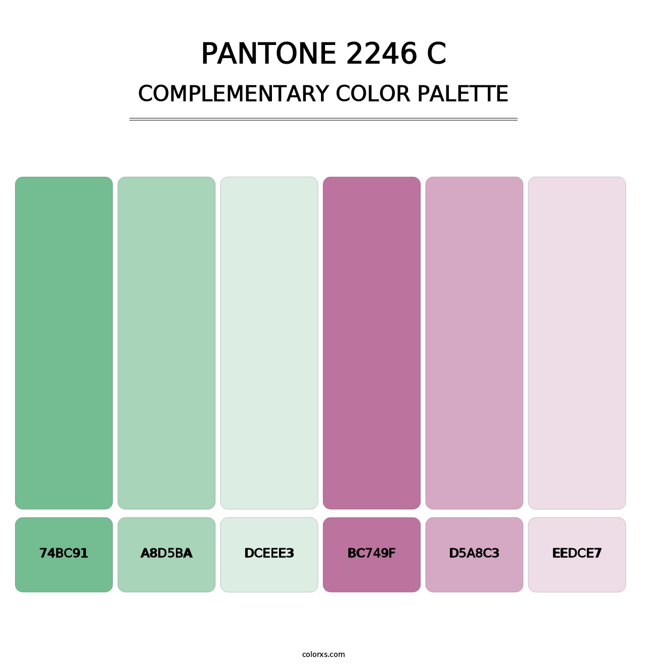 PANTONE 2246 C - Complementary Color Palette