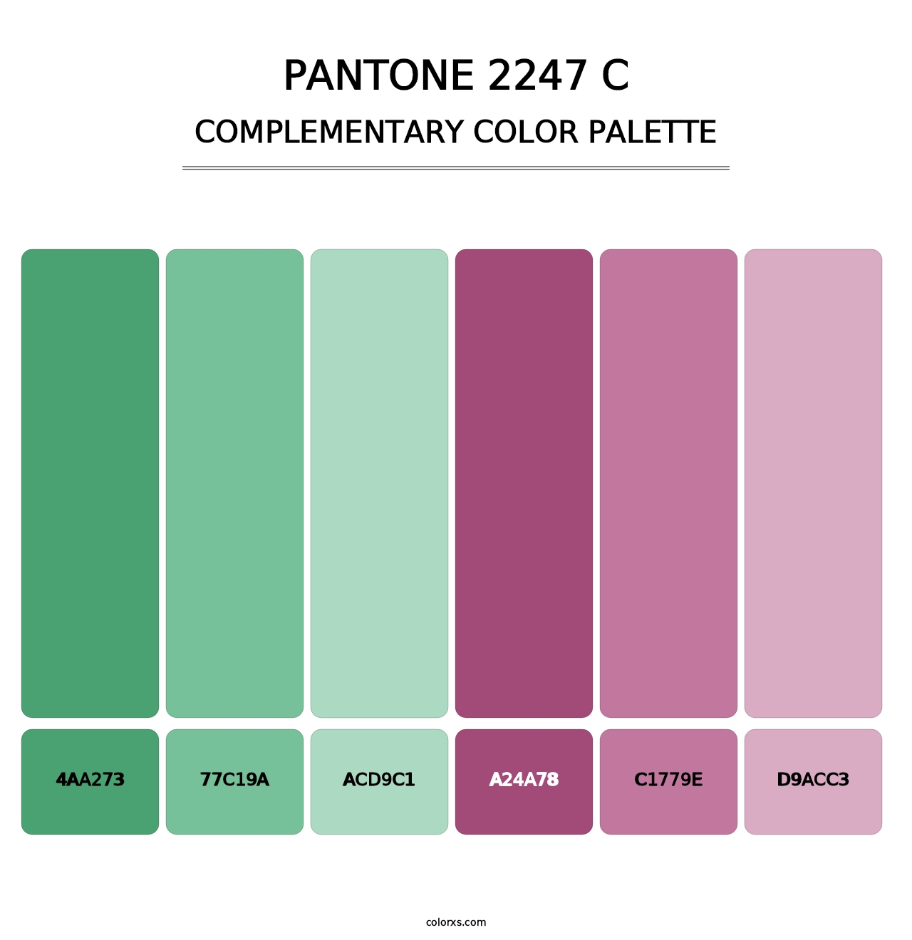 PANTONE 2247 C - Complementary Color Palette