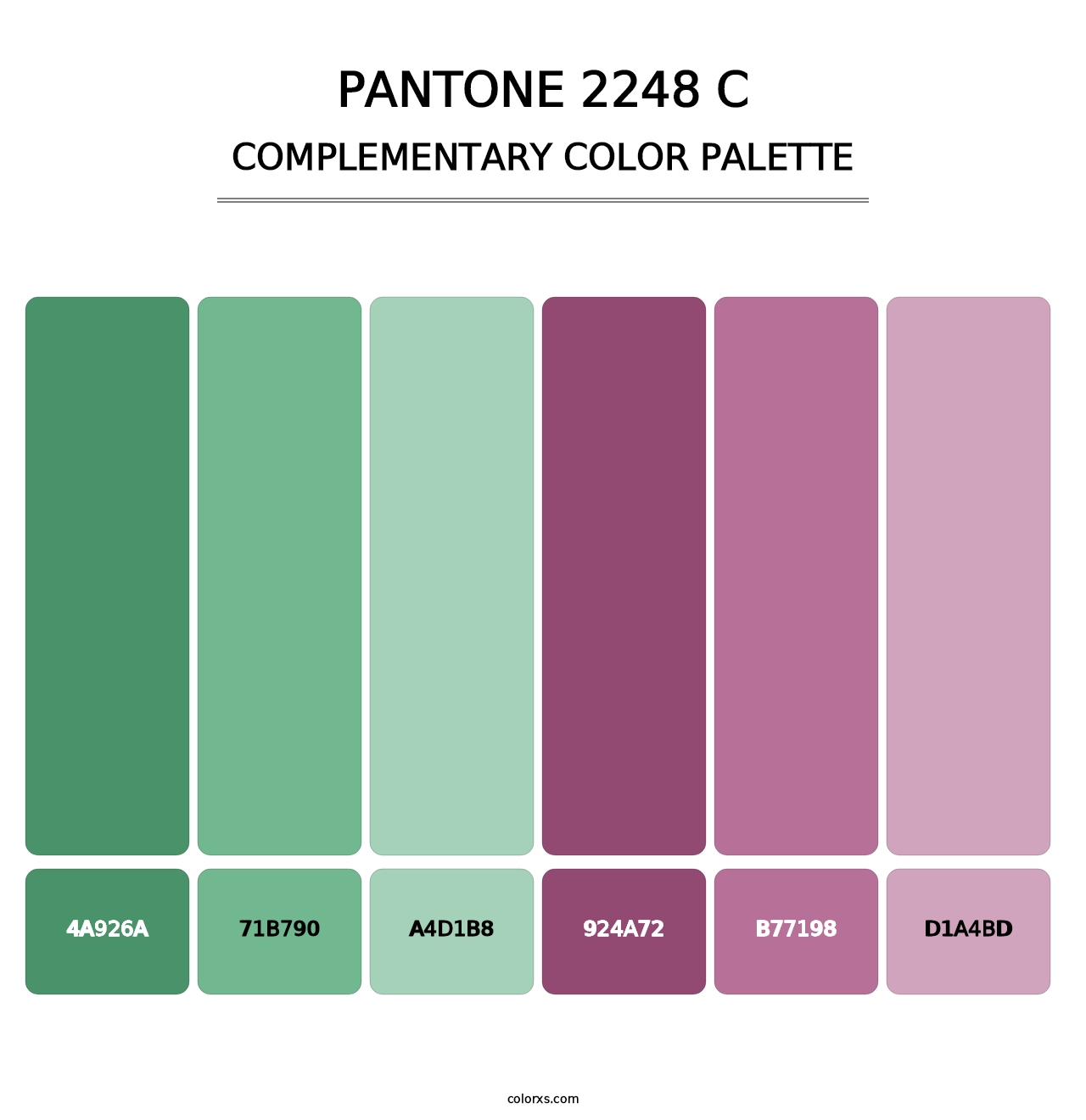PANTONE 2248 C - Complementary Color Palette