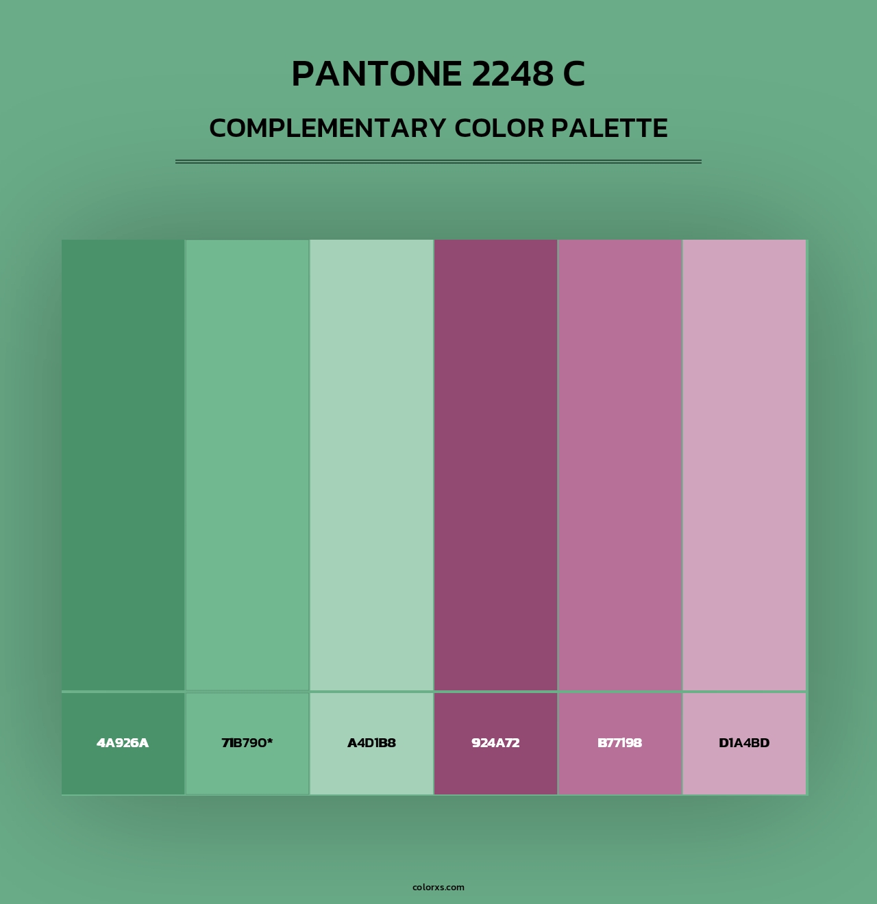 PANTONE 2248 C - Complementary Color Palette
