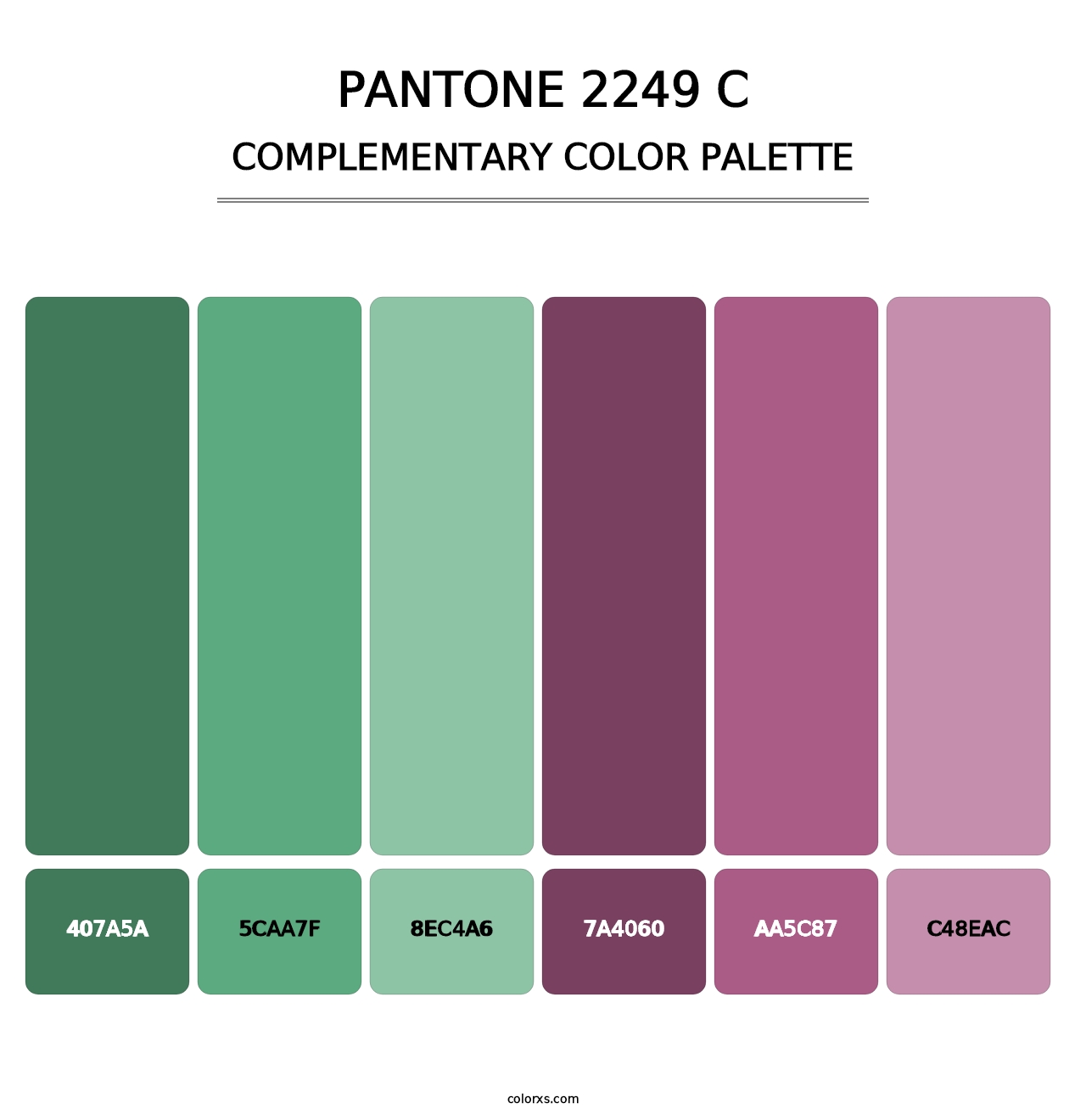PANTONE 2249 C - Complementary Color Palette