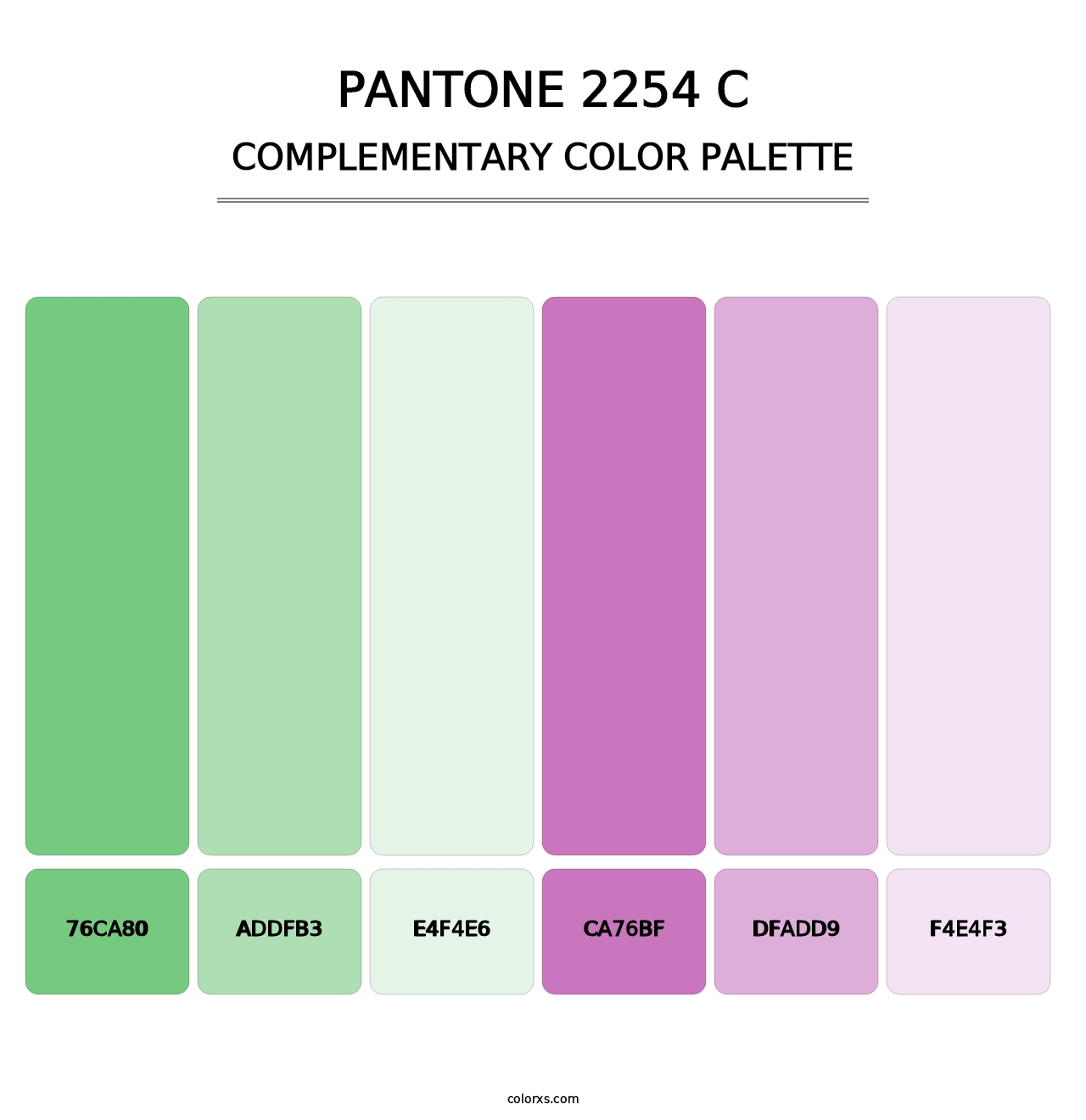 PANTONE 2254 C - Complementary Color Palette