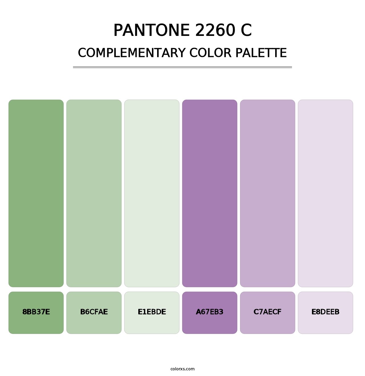 PANTONE 2260 C - Complementary Color Palette