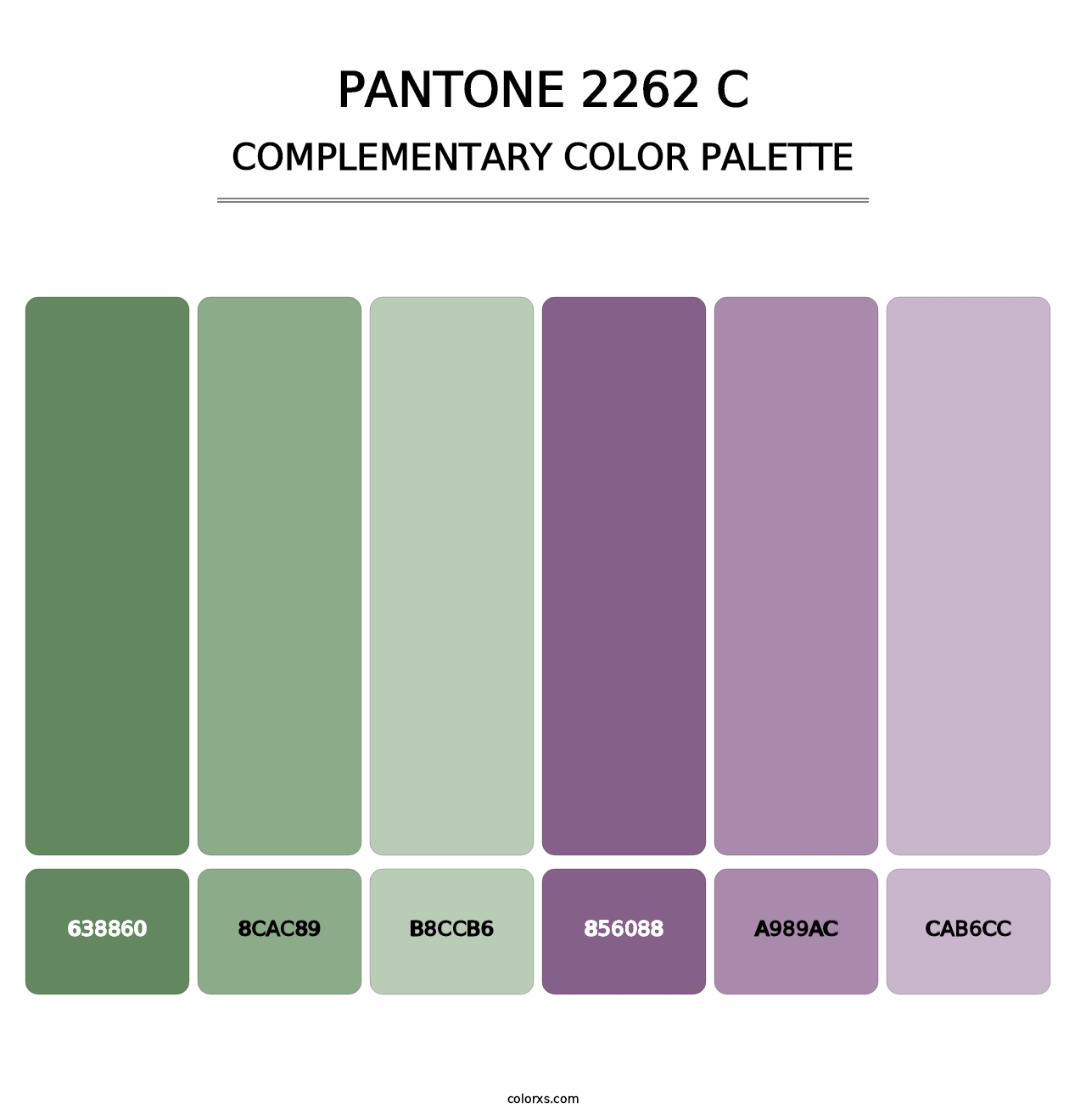 PANTONE 2262 C - Complementary Color Palette