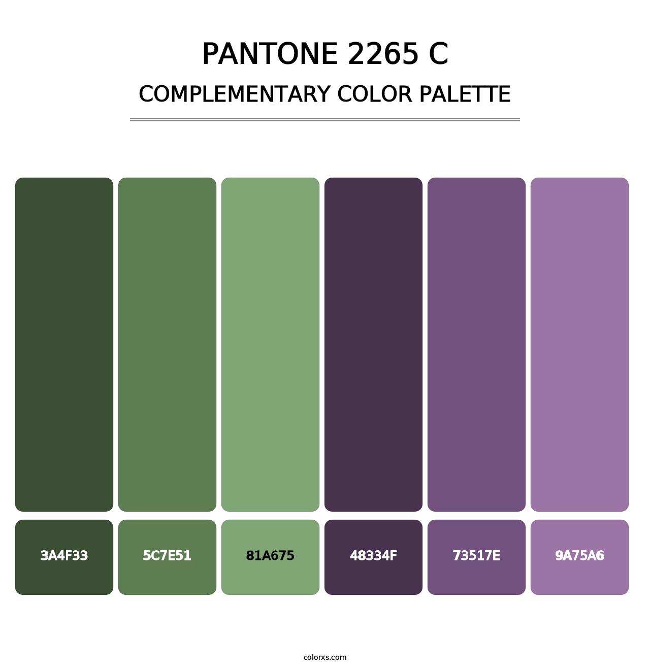 PANTONE 2265 C - Complementary Color Palette
