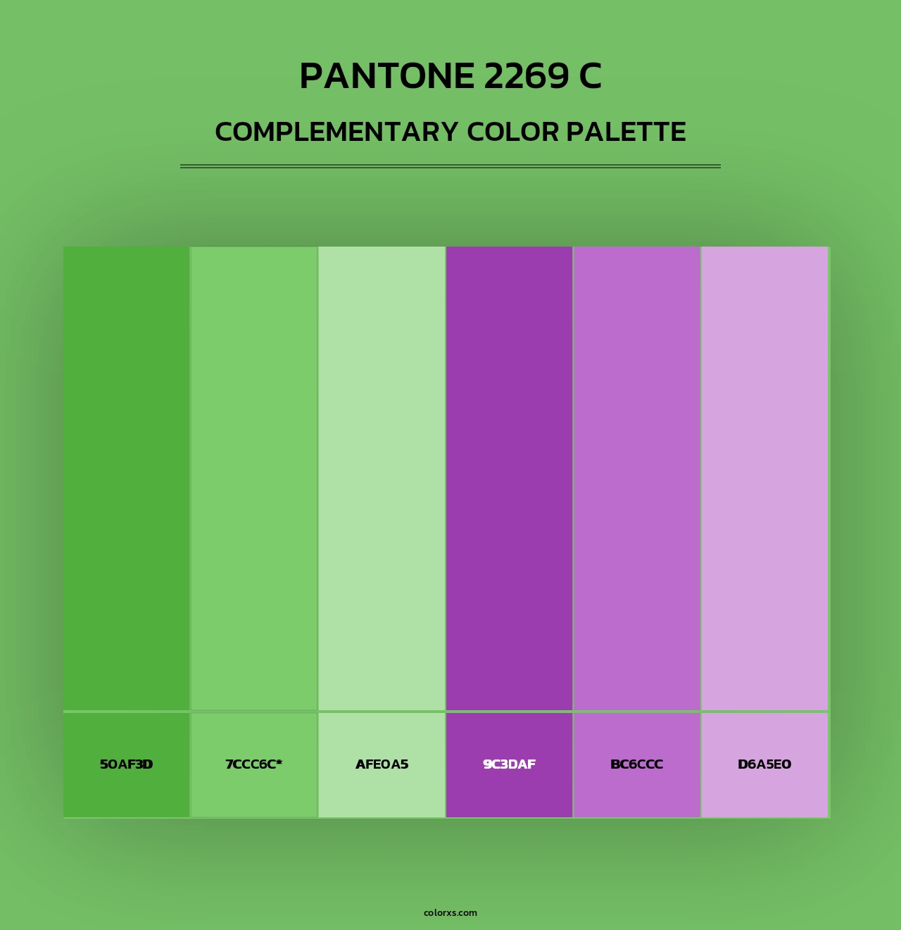 PANTONE 2269 C - Complementary Color Palette