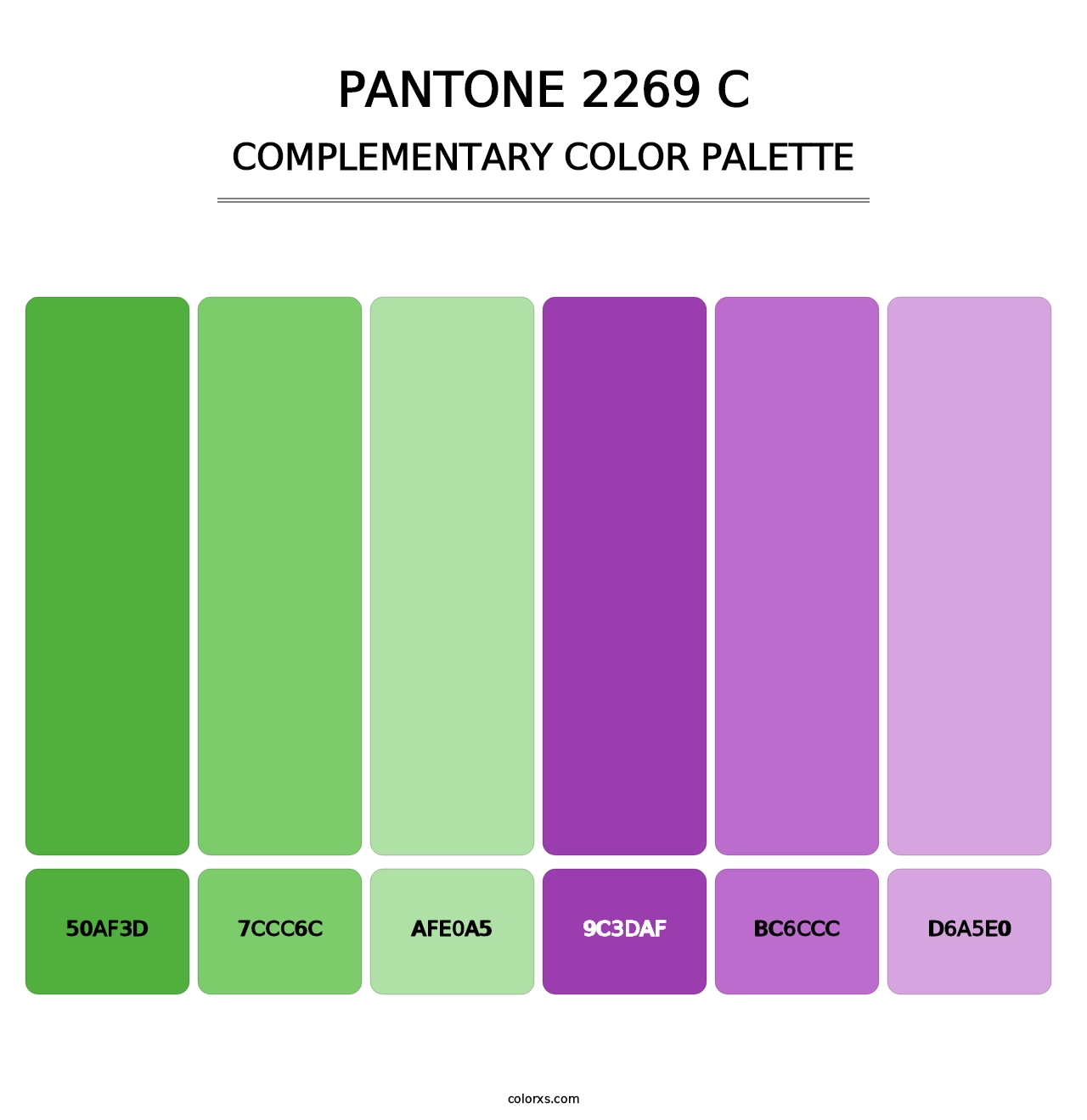 PANTONE 2269 C - Complementary Color Palette