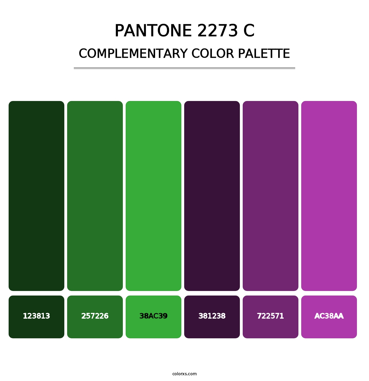 PANTONE 2273 C - Complementary Color Palette