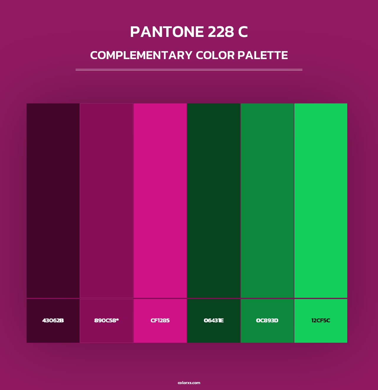 PANTONE 228 C - Complementary Color Palette