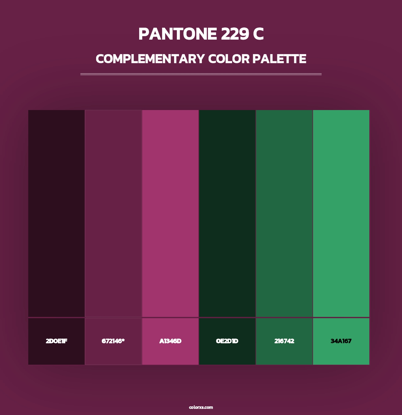 PANTONE 229 C - Complementary Color Palette