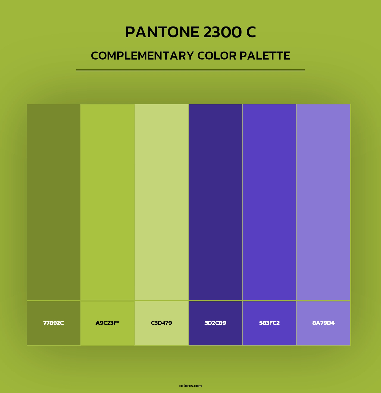 PANTONE 2300 C - Complementary Color Palette