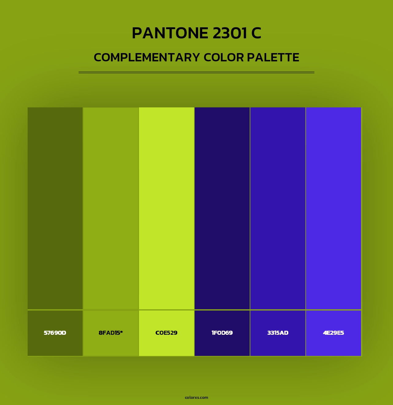 PANTONE 2301 C - Complementary Color Palette