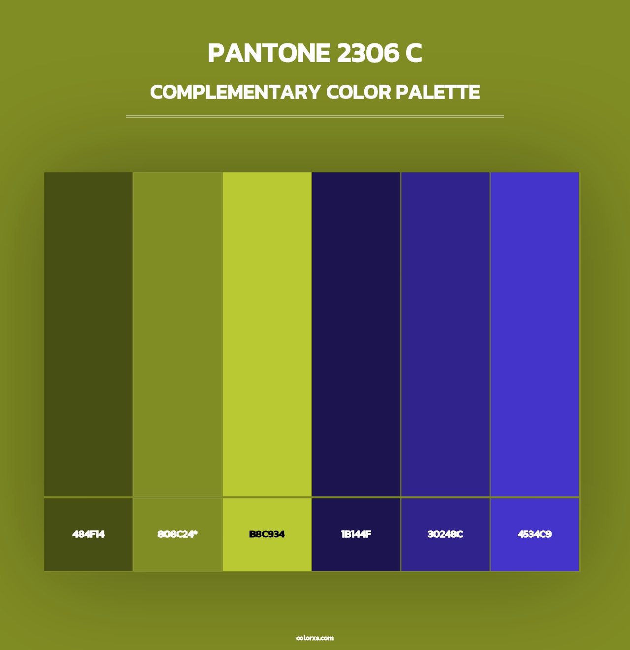 PANTONE 2306 C - Complementary Color Palette