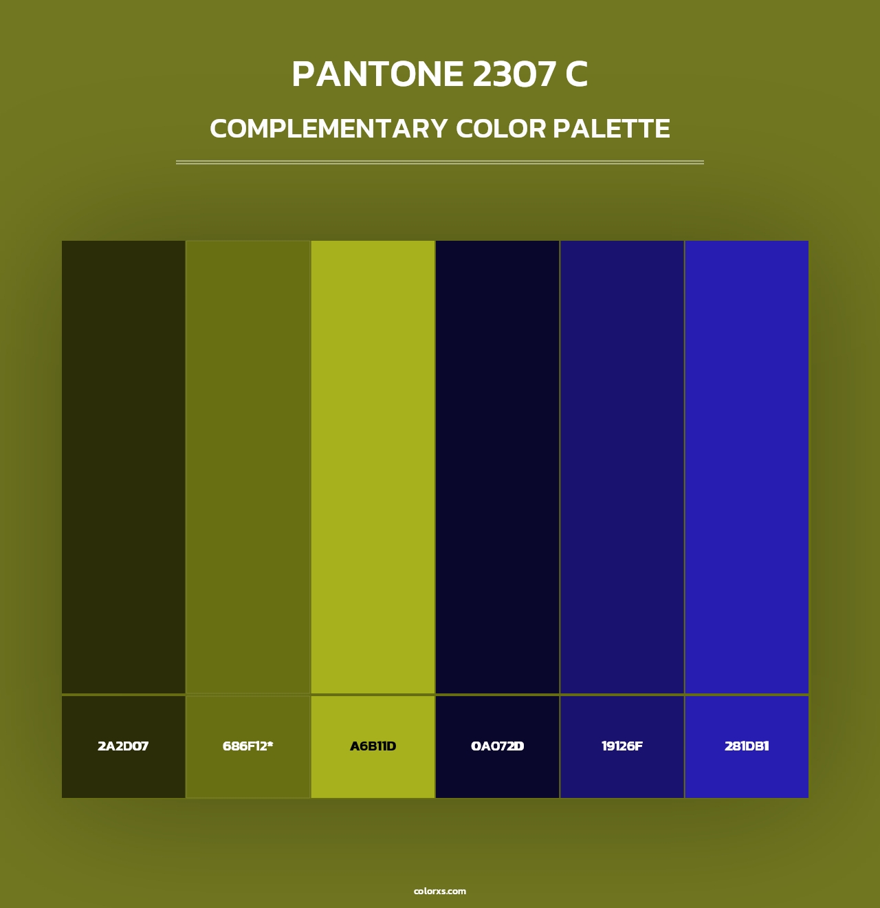 PANTONE 2307 C - Complementary Color Palette