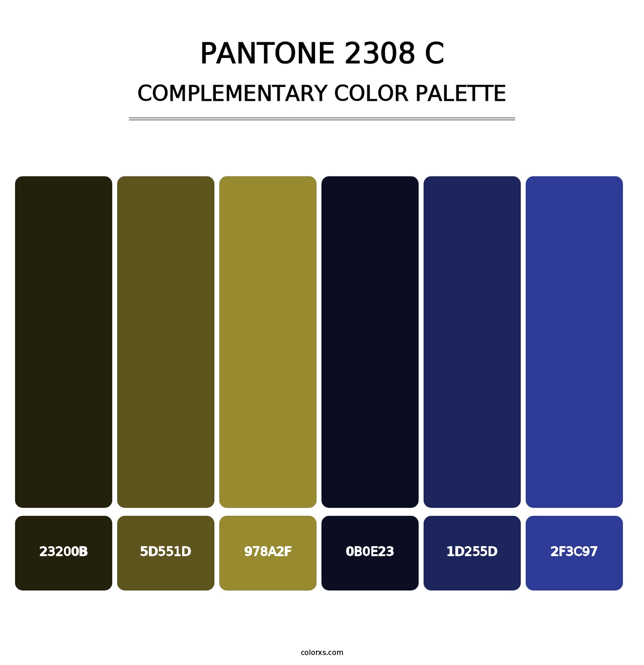 PANTONE 2308 C - Complementary Color Palette