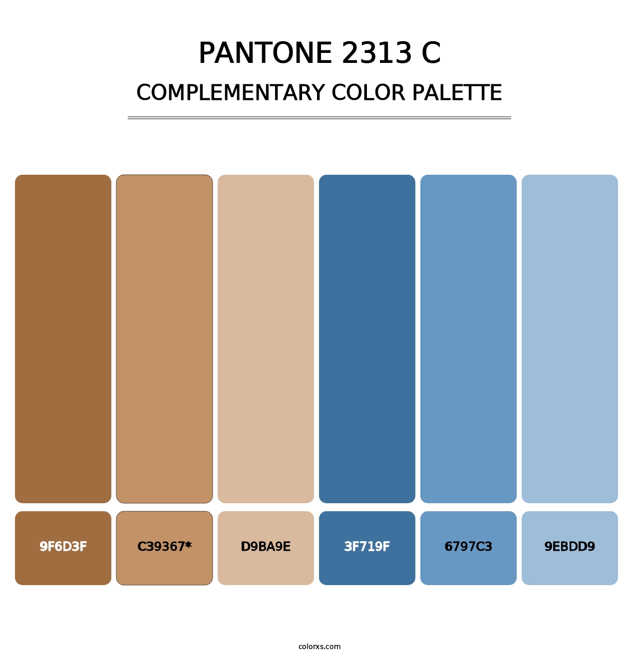PANTONE 2313 C - Complementary Color Palette