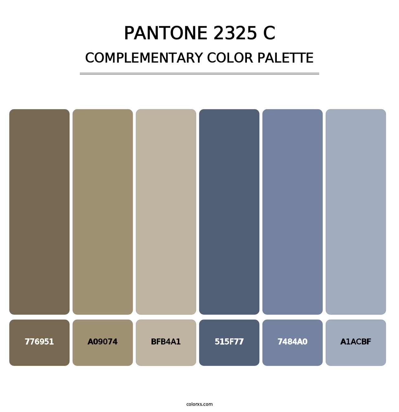 PANTONE 2325 C - Complementary Color Palette