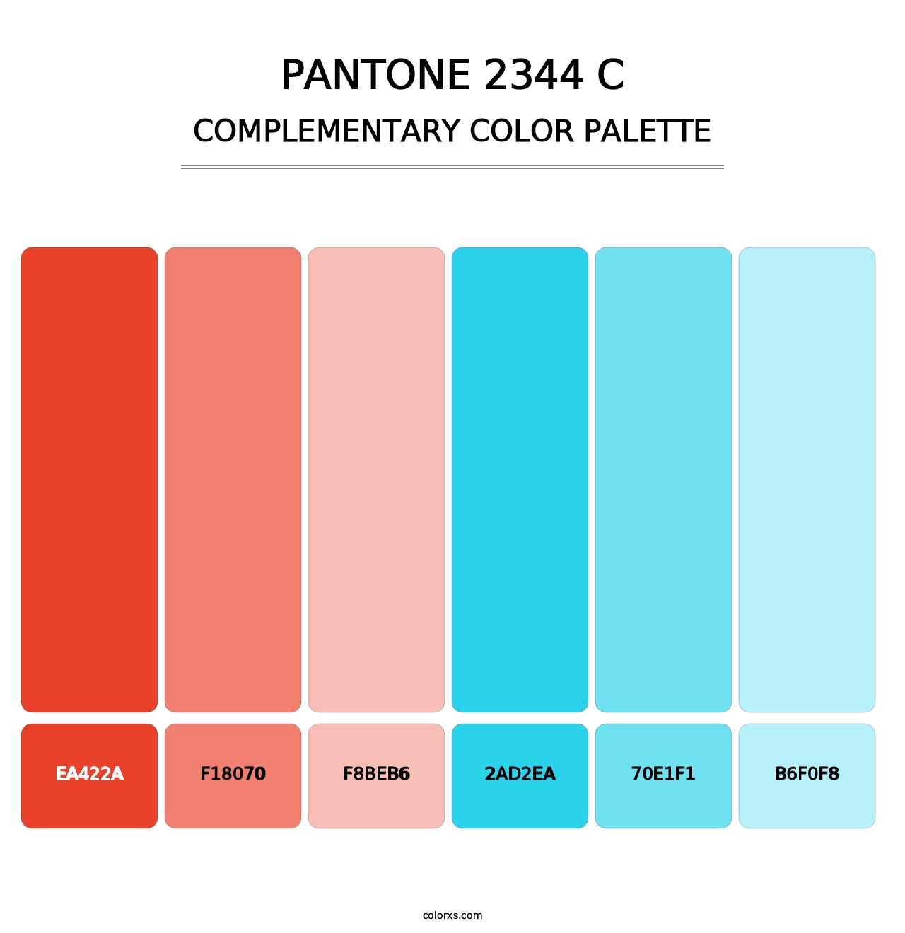 PANTONE 2344 C - Complementary Color Palette