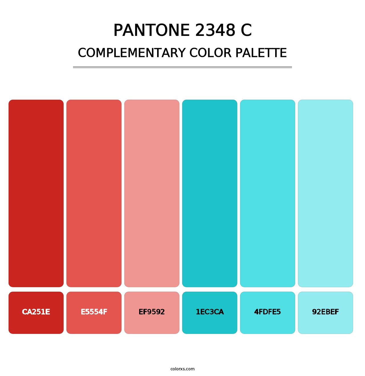 PANTONE 2348 C - Complementary Color Palette