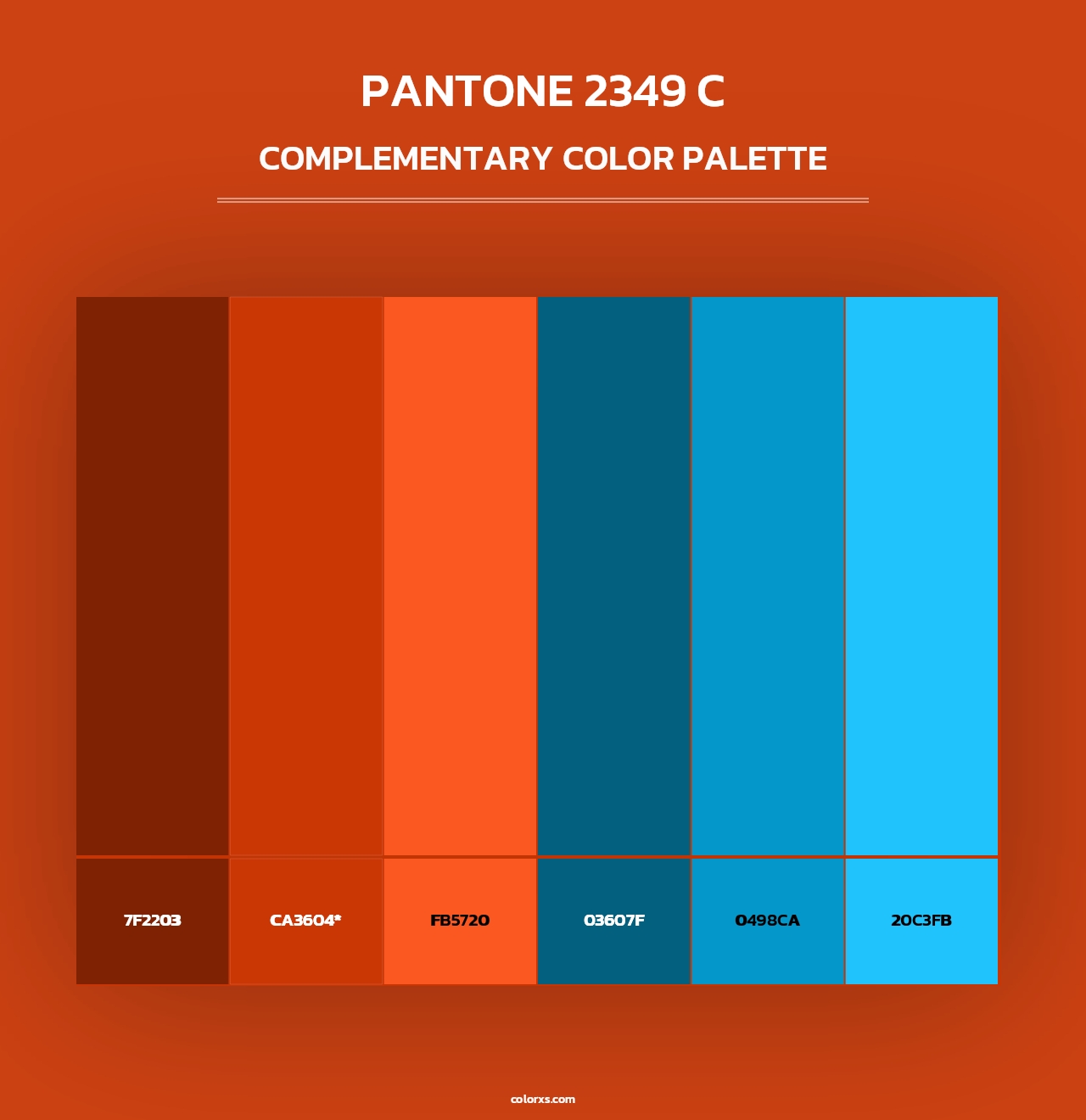 PANTONE 2349 C - Complementary Color Palette