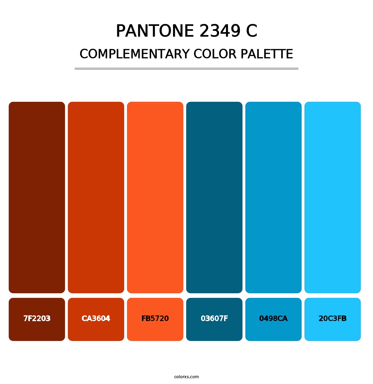 PANTONE 2349 C - Complementary Color Palette
