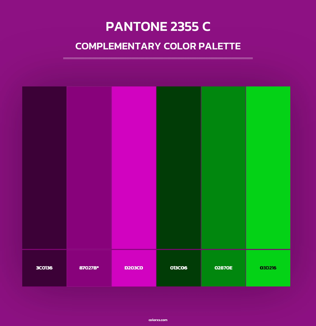 PANTONE 2355 C - Complementary Color Palette