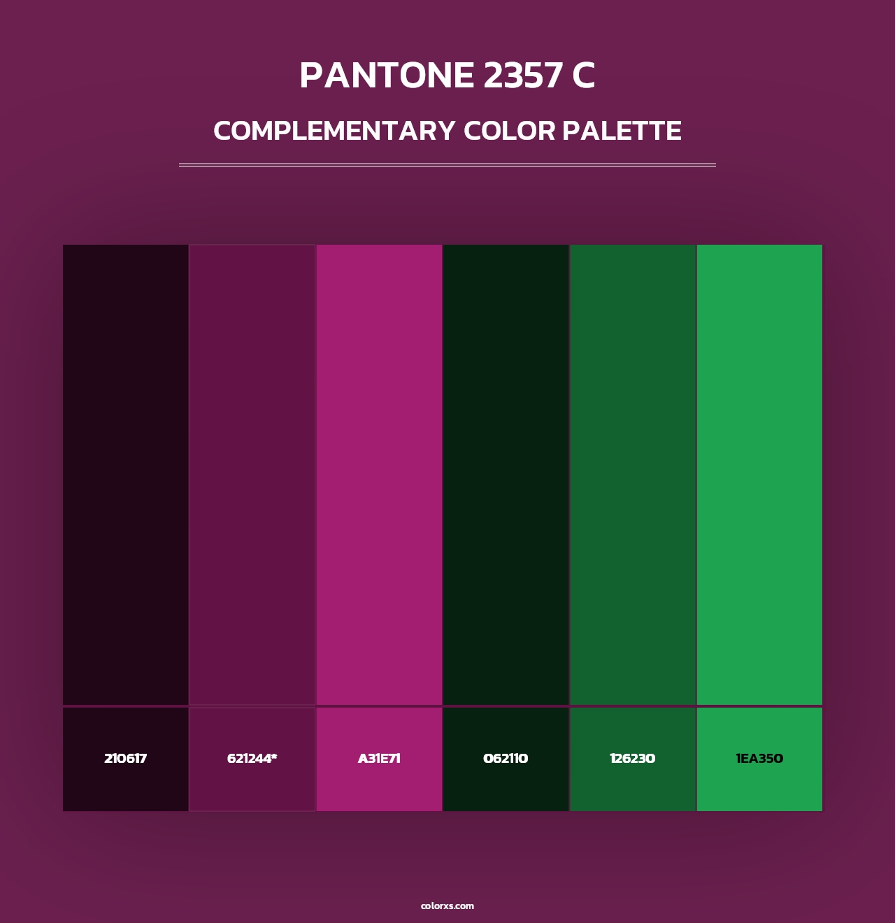 PANTONE 2357 C - Complementary Color Palette