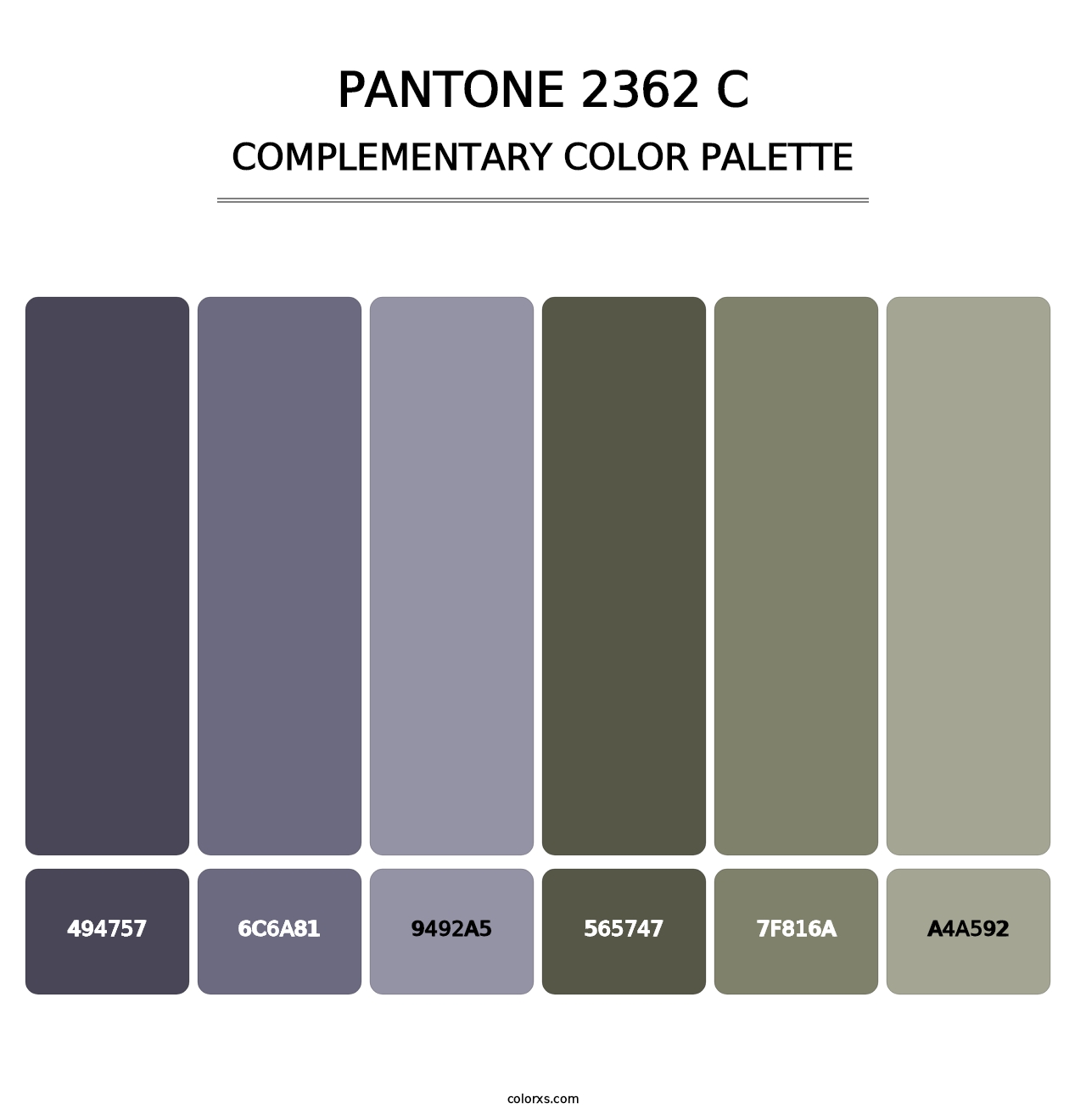 PANTONE 2362 C - Complementary Color Palette