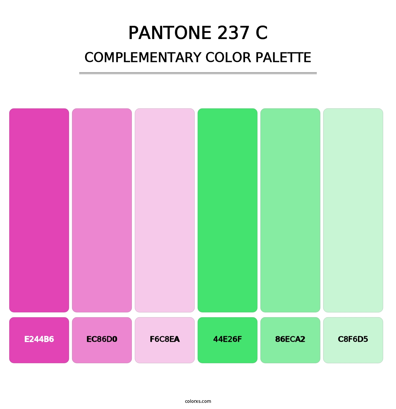 PANTONE 237 C - Complementary Color Palette