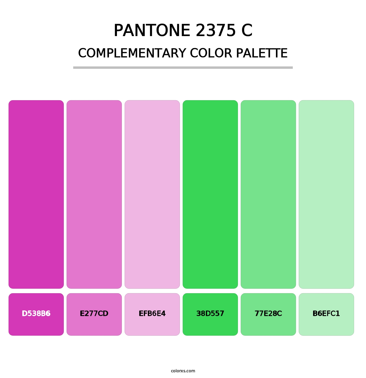 PANTONE 2375 C - Complementary Color Palette