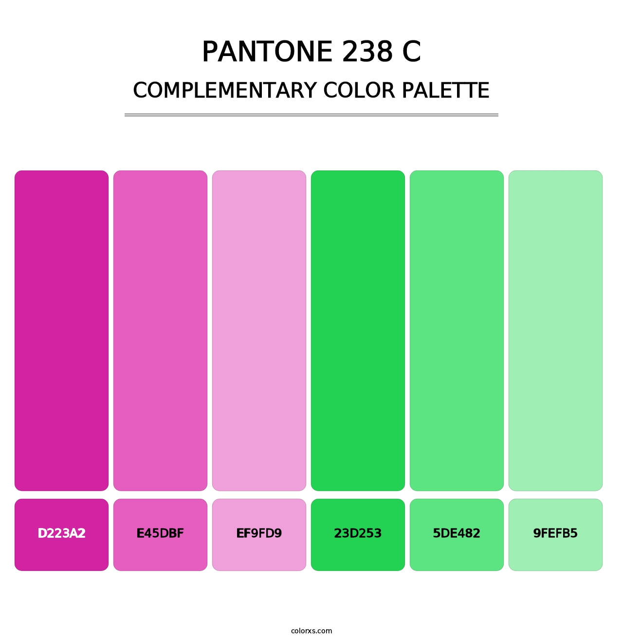 PANTONE 238 C - Complementary Color Palette