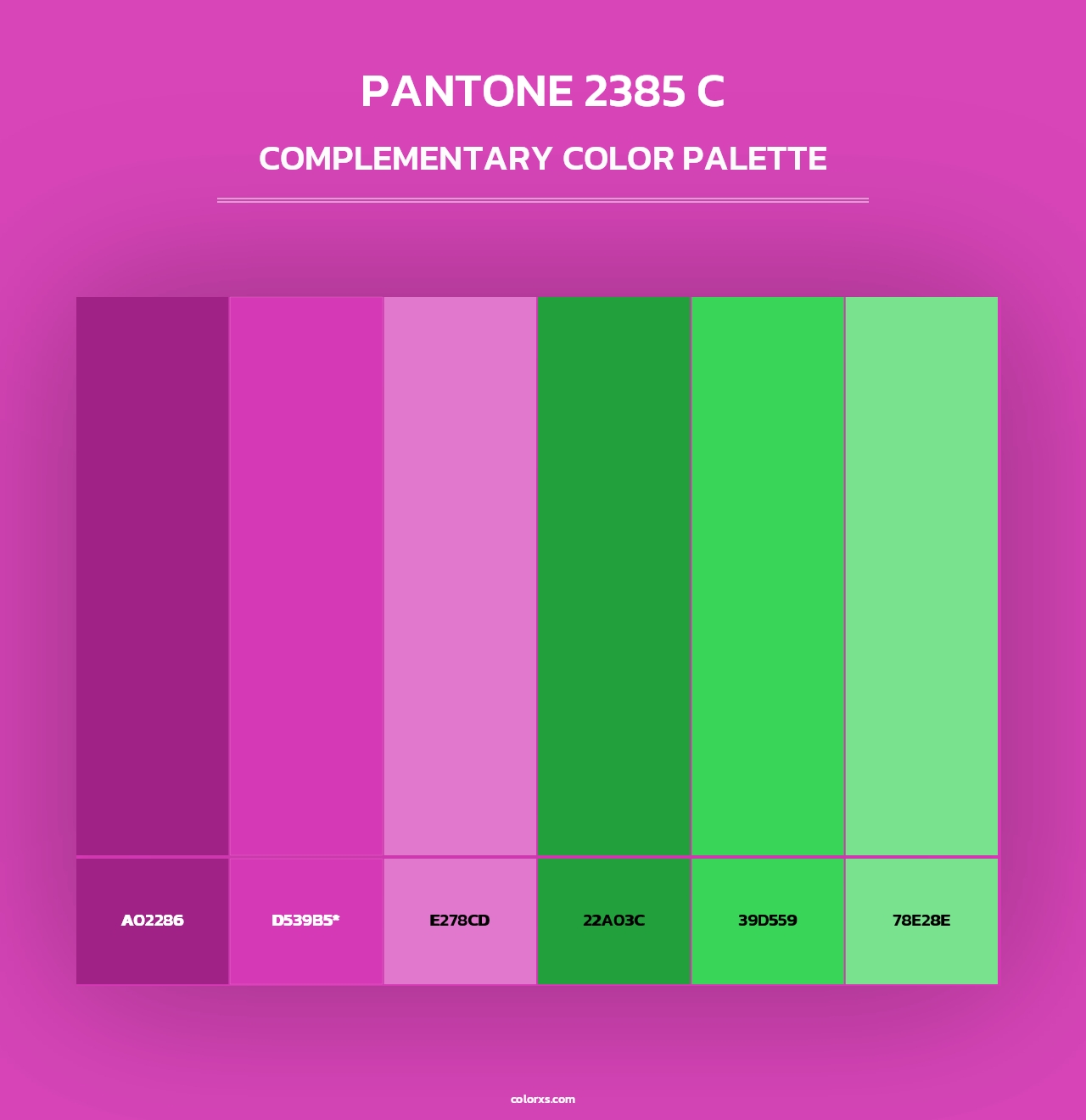 PANTONE 2385 C - Complementary Color Palette