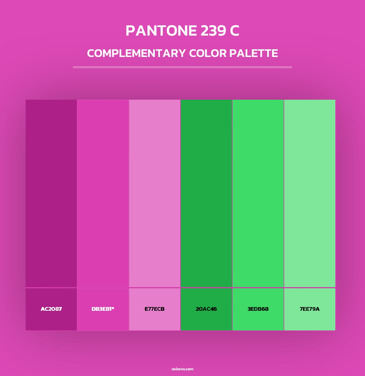 PANTONE 239 C - Complementary Color Palette