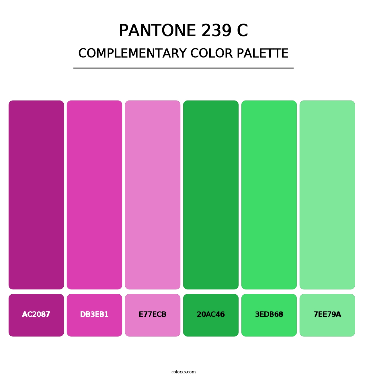 PANTONE 239 C - Complementary Color Palette