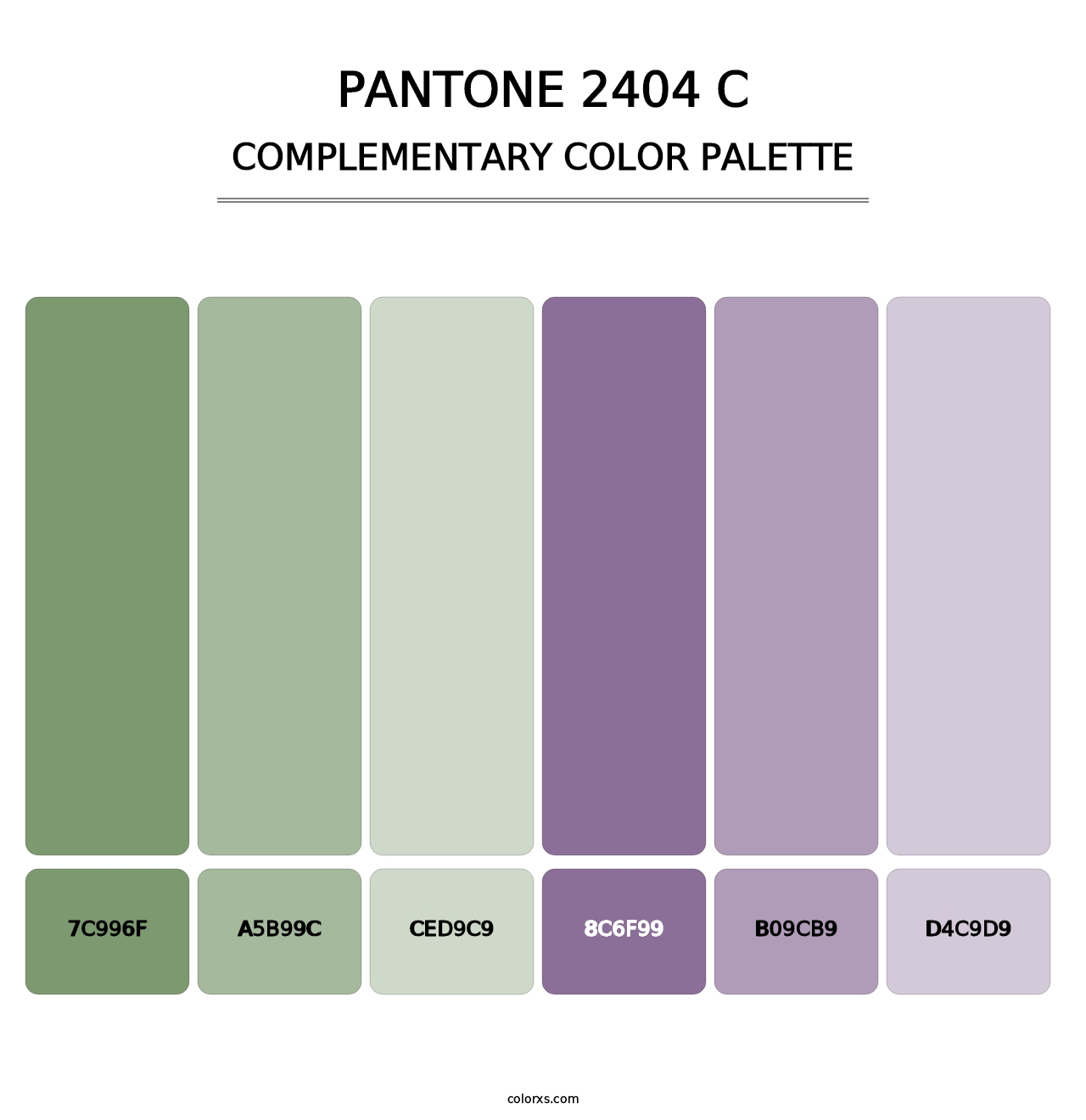 PANTONE 2404 C - Complementary Color Palette