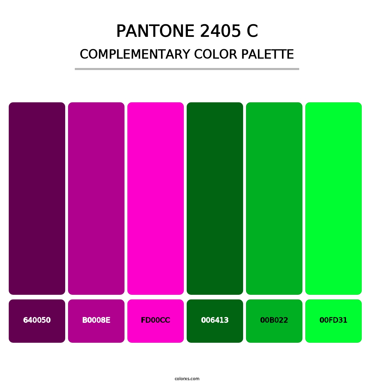 PANTONE 2405 C - Complementary Color Palette