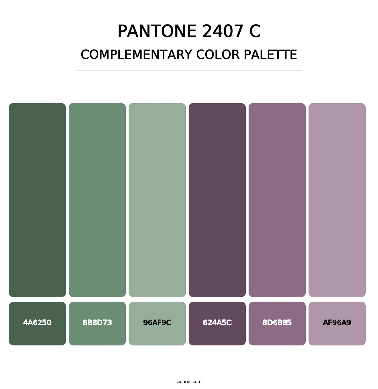 PANTONE 2407 C - Complementary Color Palette