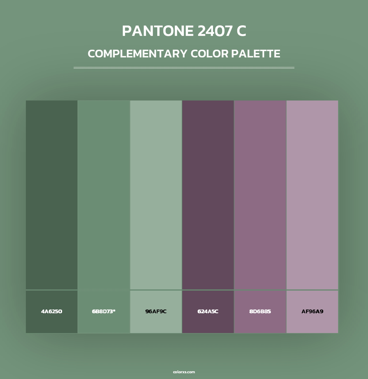 PANTONE 2407 C - Complementary Color Palette