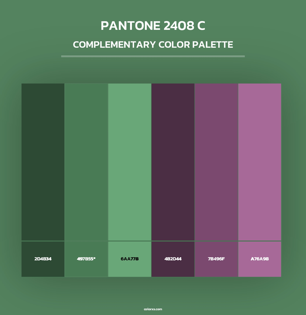 PANTONE 2408 C - Complementary Color Palette