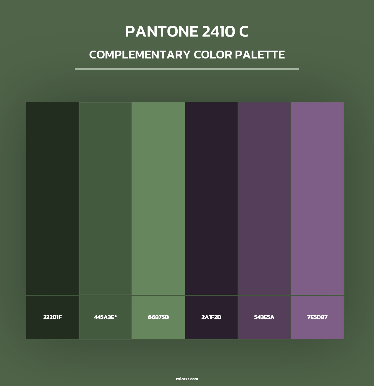 PANTONE 2410 C - Complementary Color Palette