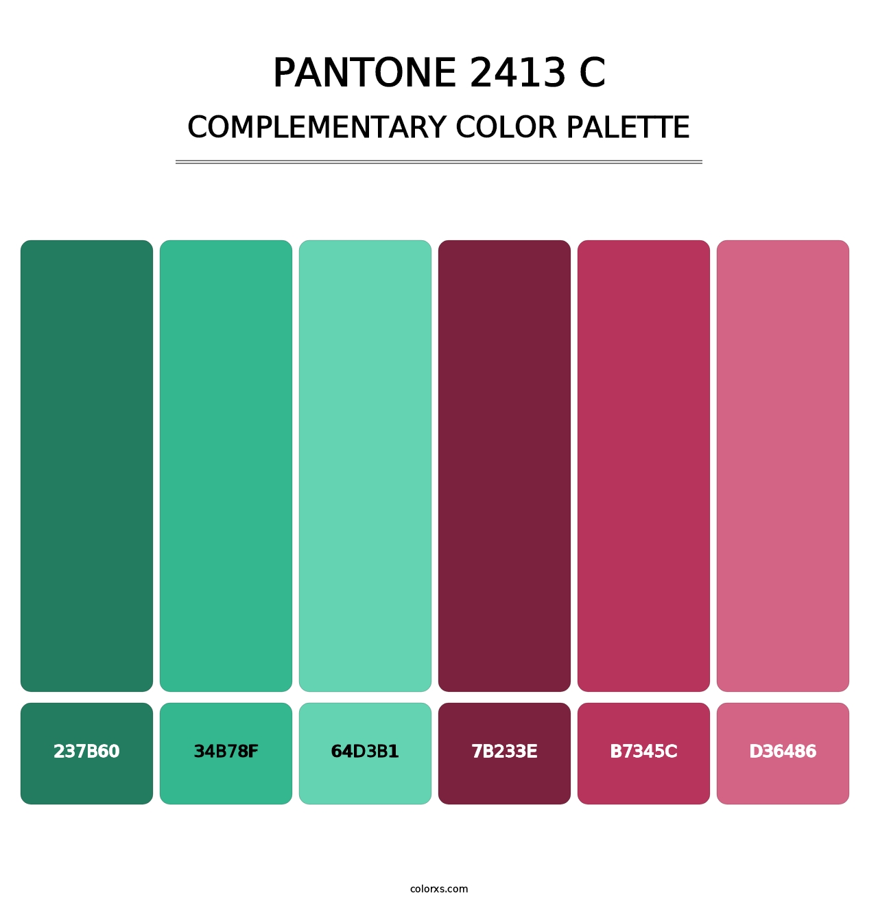 PANTONE 2413 C - Complementary Color Palette