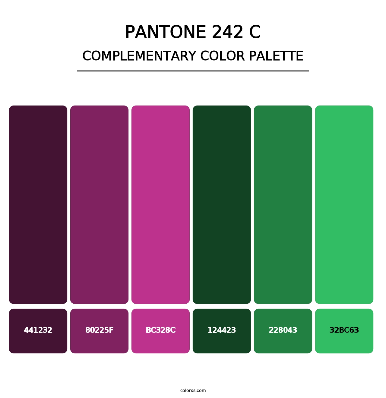 PANTONE 242 C - Complementary Color Palette